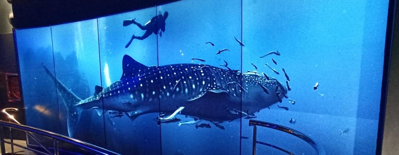 Aquàrium de Barcelona: renovació de la retolació i senyalització 1 - Pellisa Ràfols 3 1 - Pellisa Ràfols