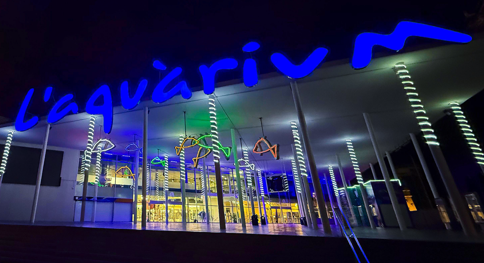 Captura de pantalla 2025-12-19 a les 9.08.46 Rètol corpori il·luminat de l’Aquàrium de Barcelona a la façana principal durant la nit